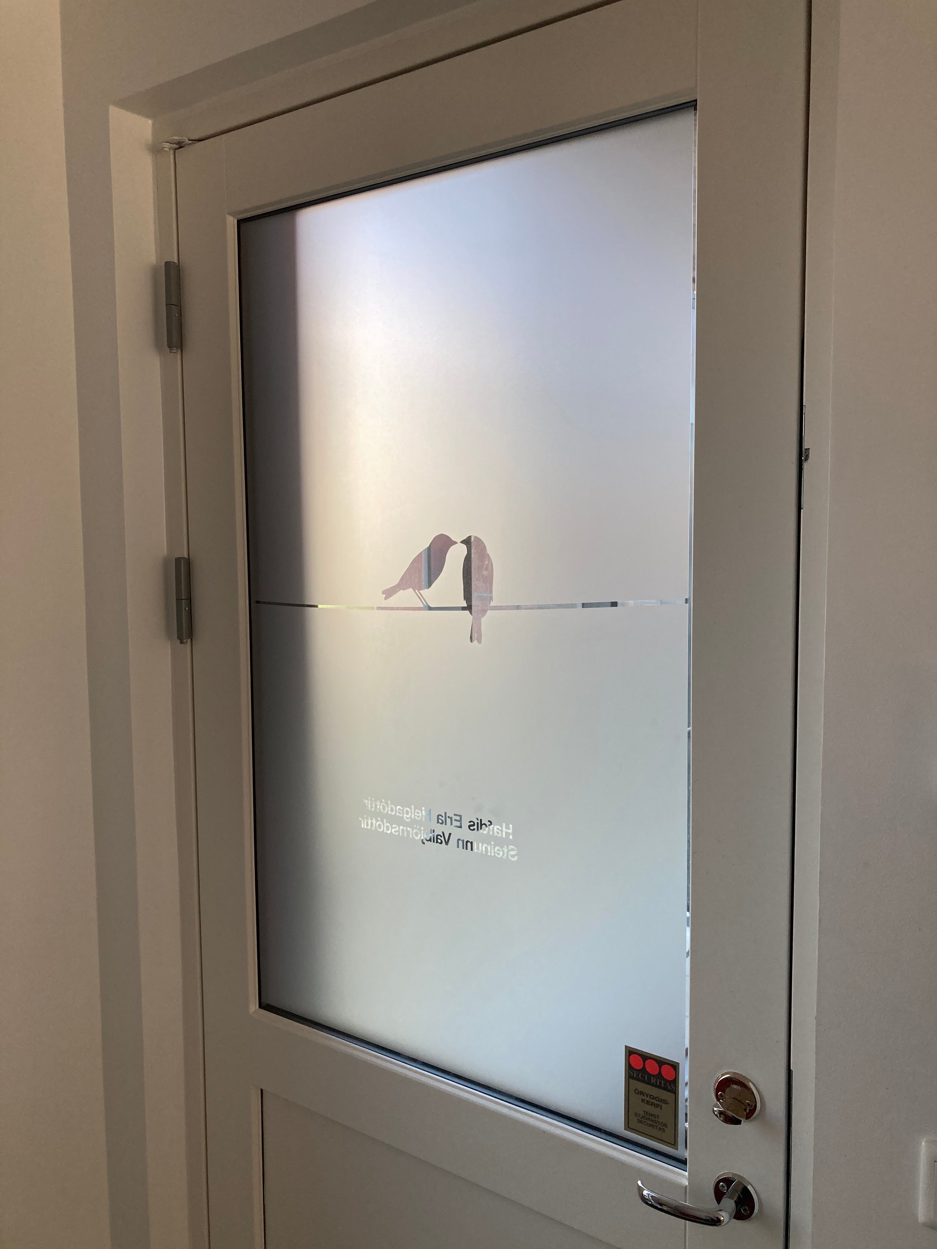 Frosted Window Film | Birds on a line 1 | S23