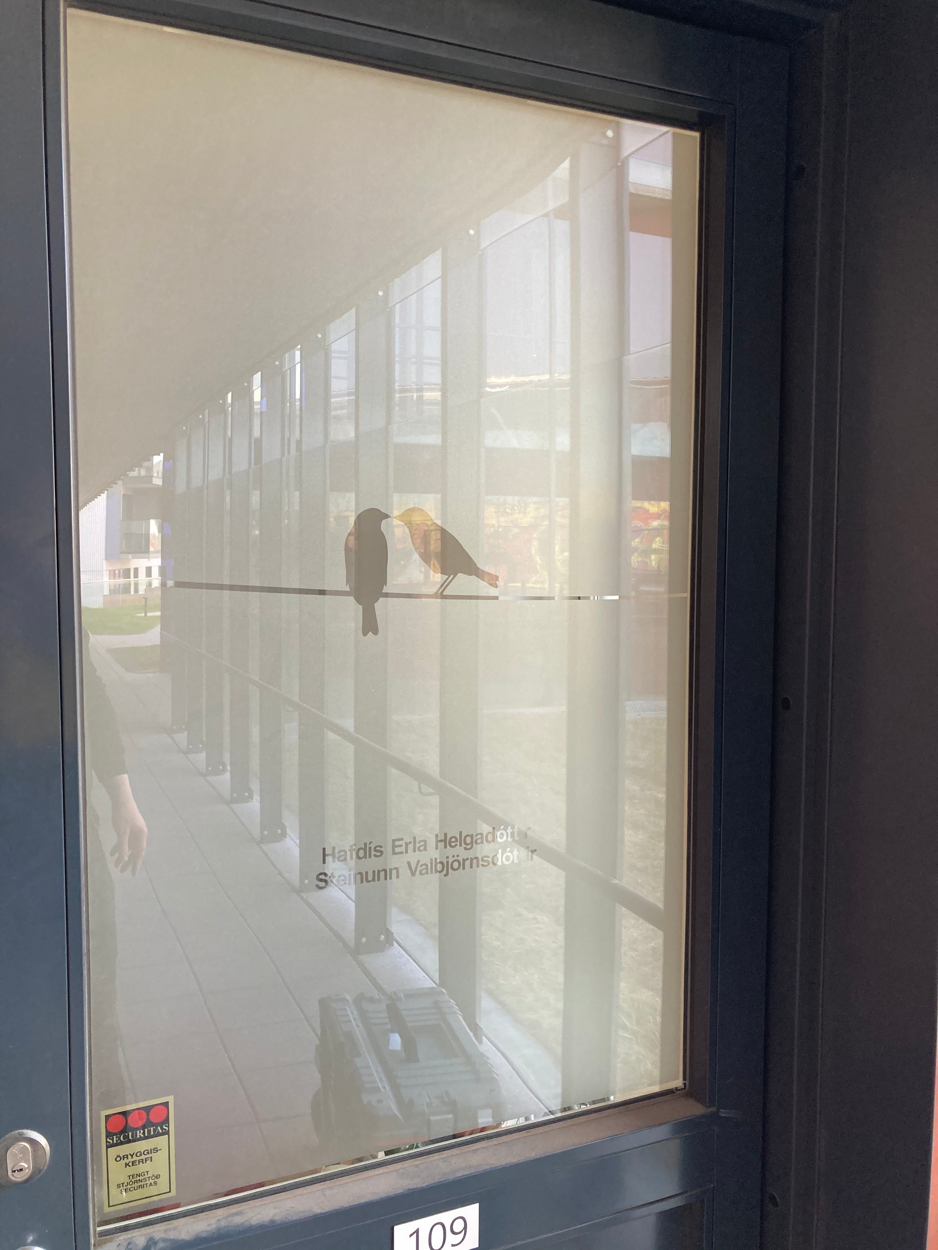 Frosted Window Film | Birds on a line 1 | S23