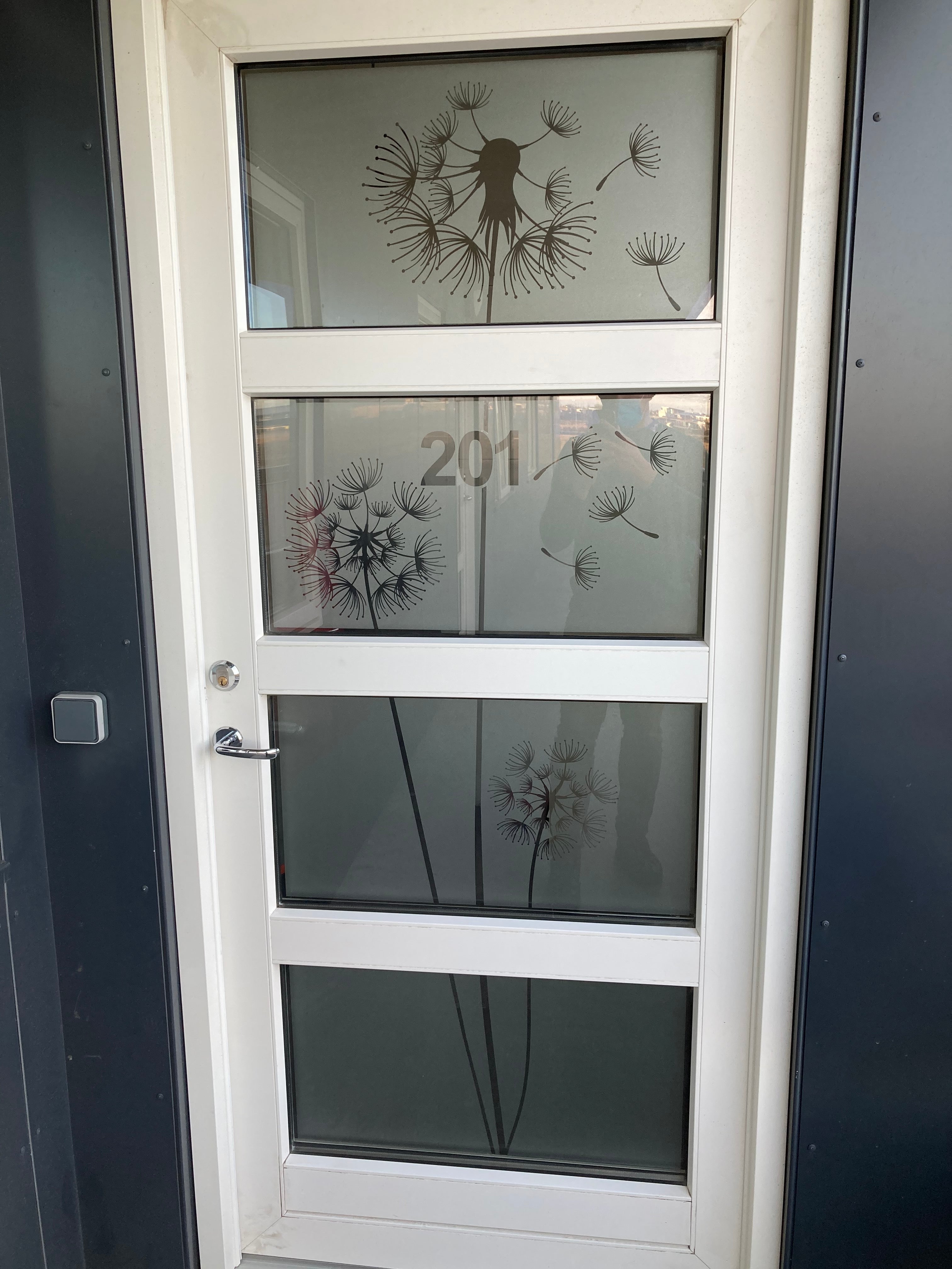 Frosted Window Film | Dandelion and seeds | S19