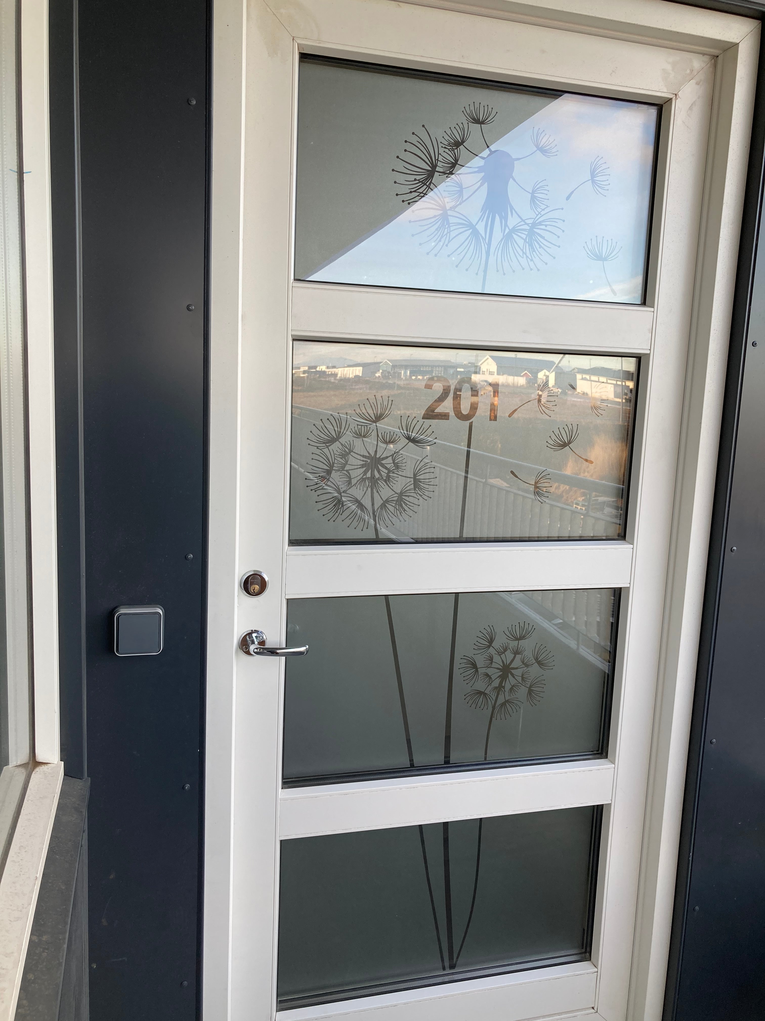 Frosted Window Film | Dandelion and seeds | S19