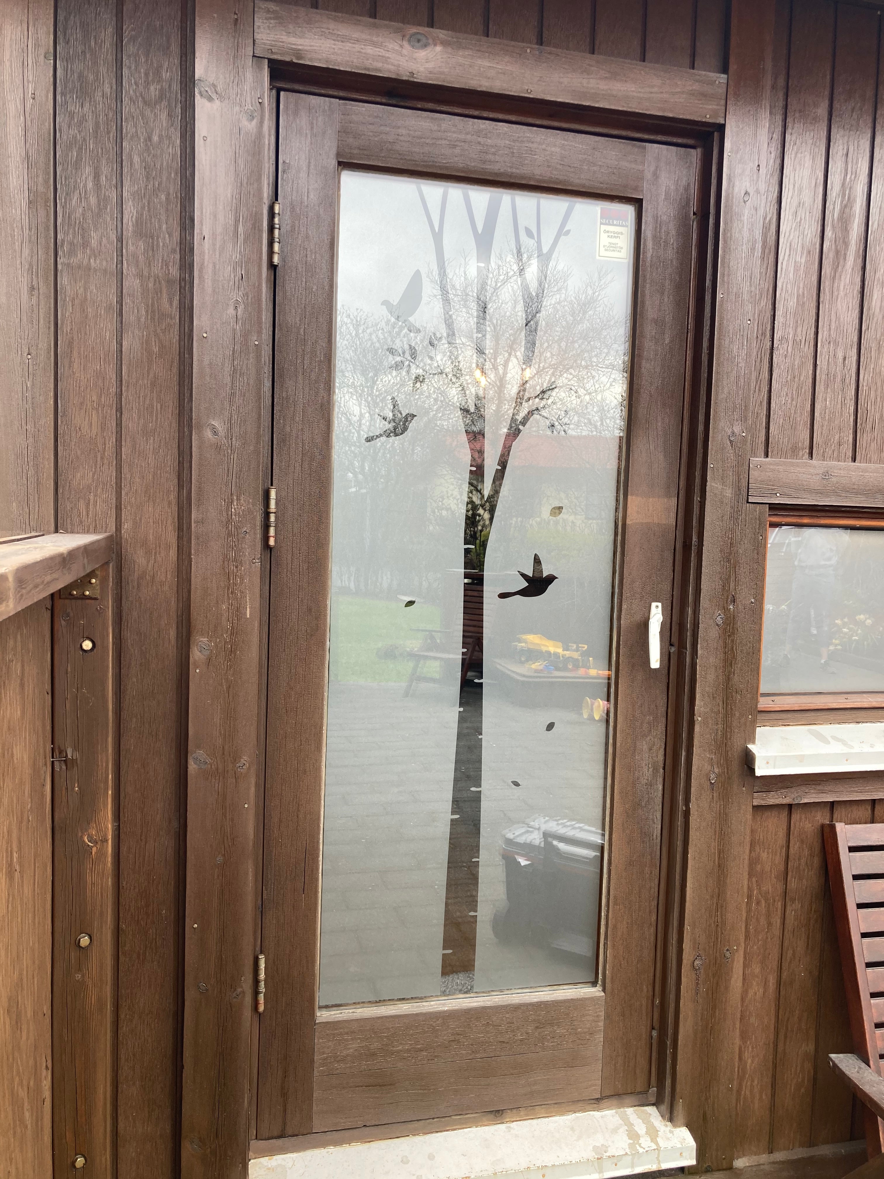 Frosted Window Film | Birch tree | S18
