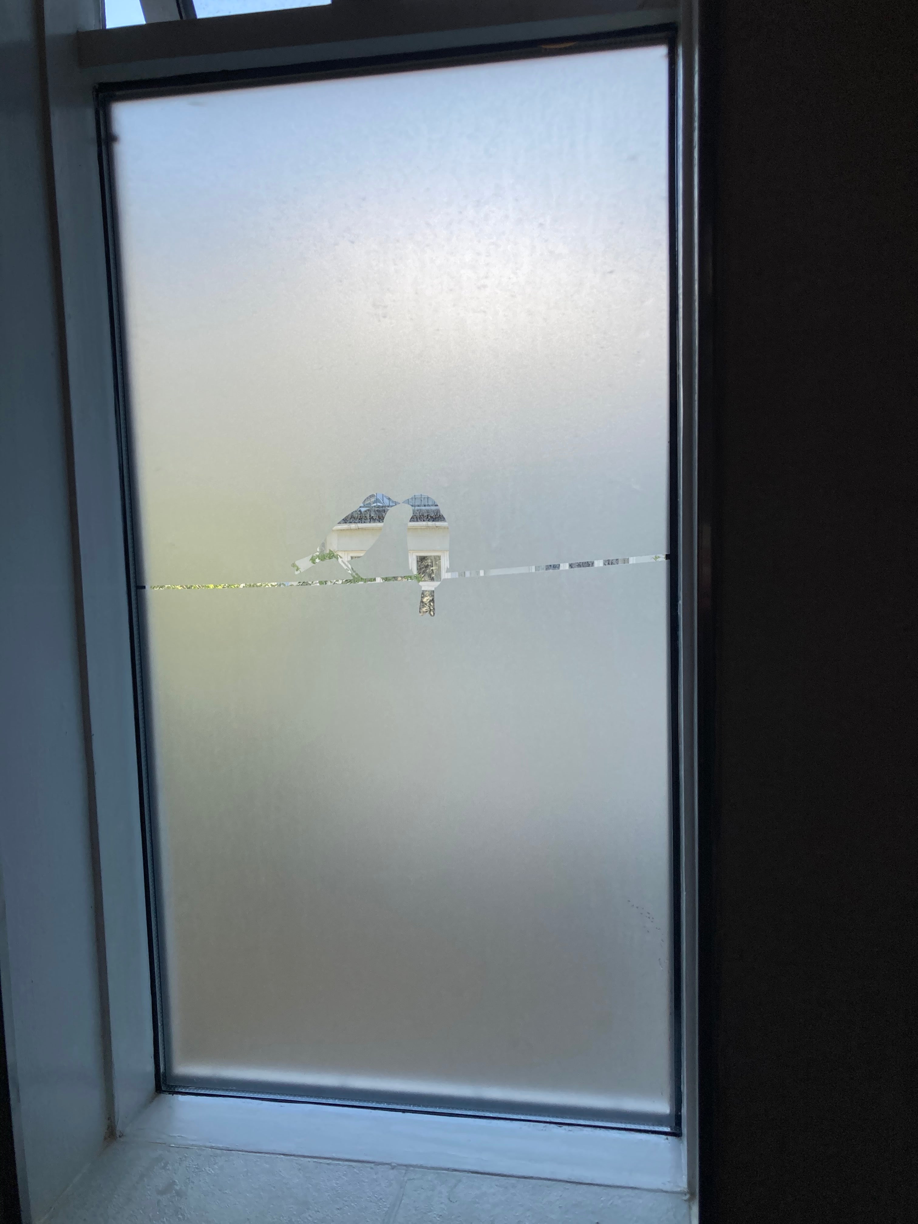 Frosted Window Film | Birds on a line 1 | S23