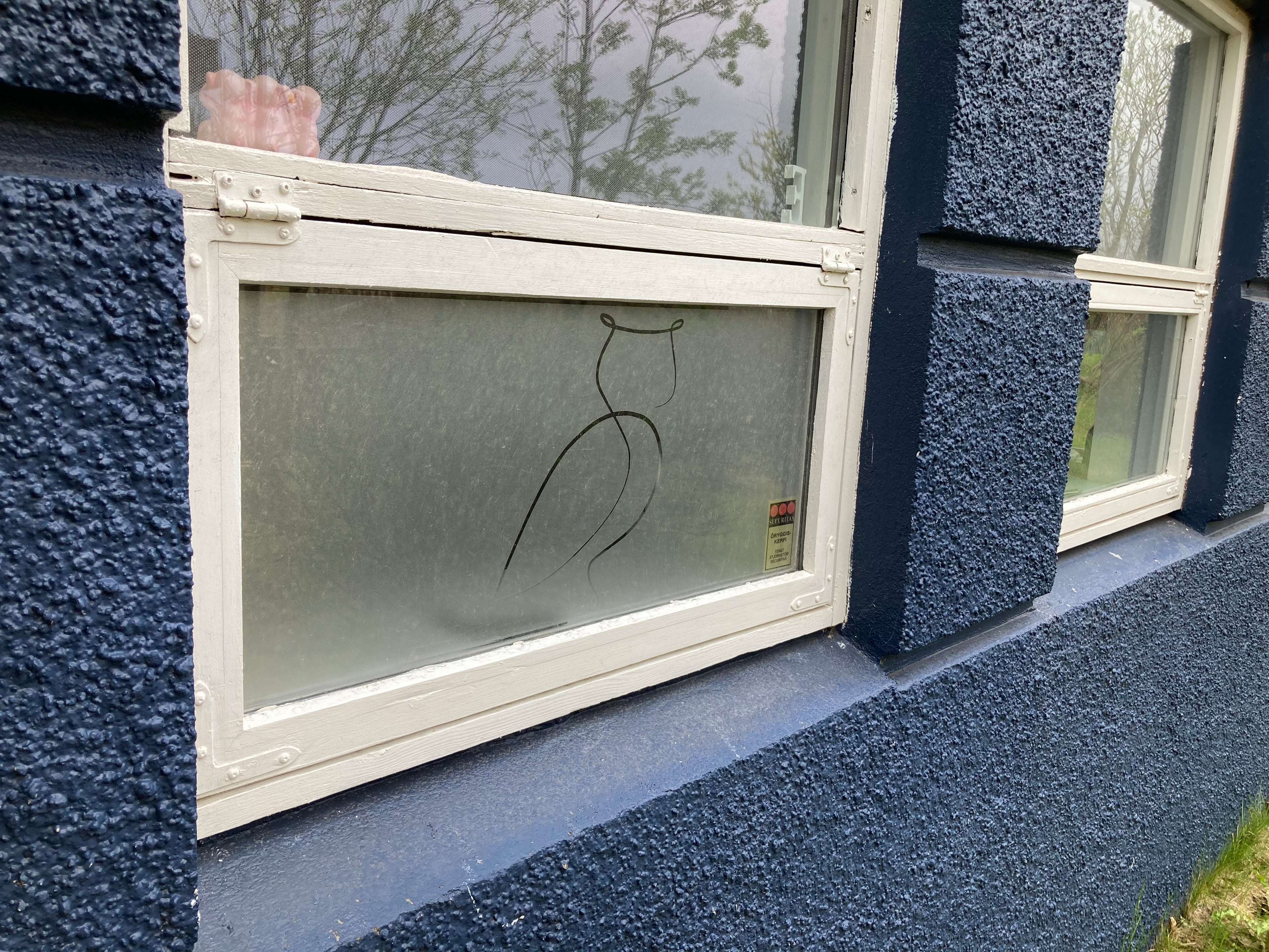 Frosted Window Film | Tree branch with birds on a swing| S07