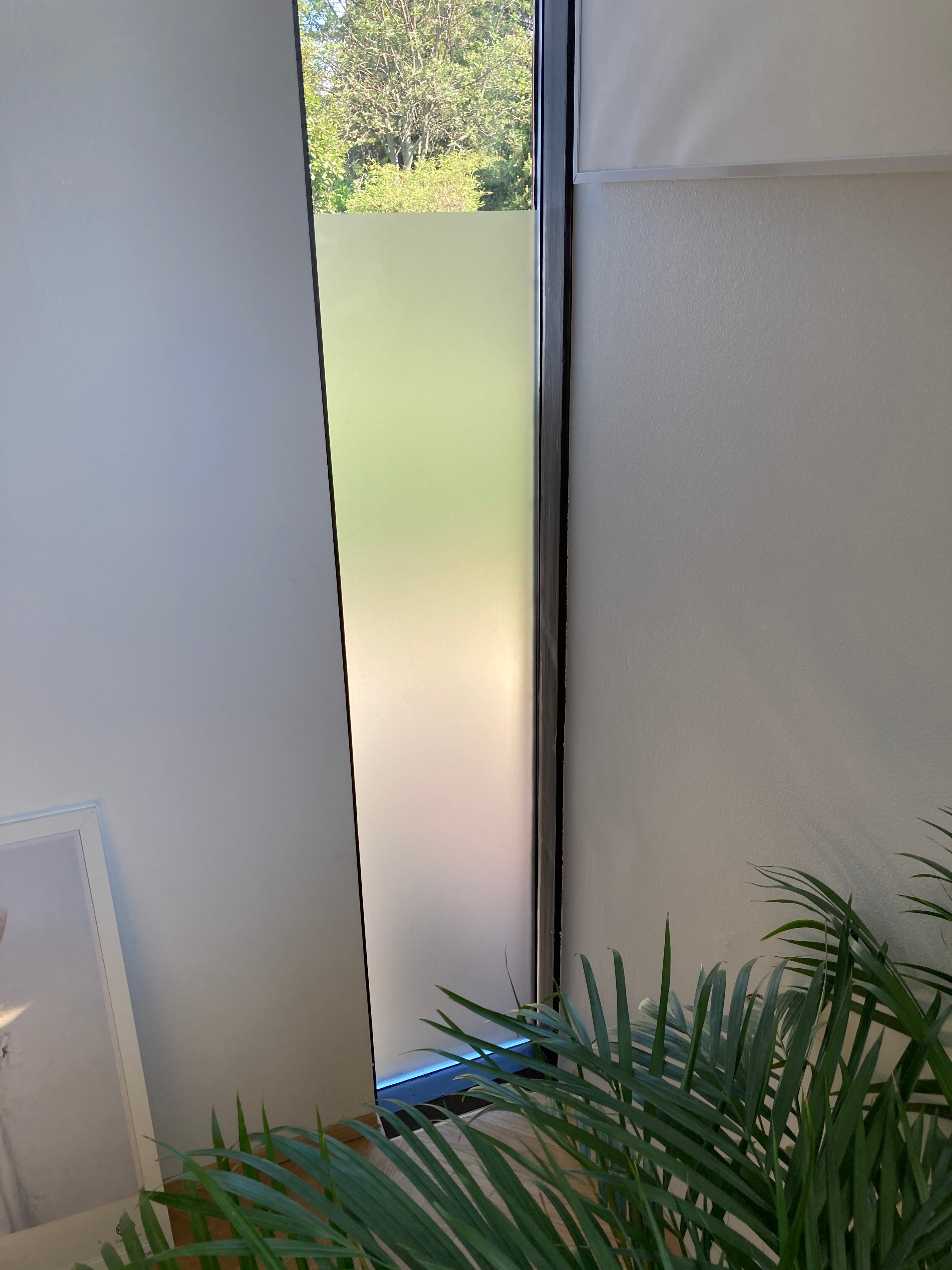 Frosted Window Film | Plain (No Pattern) | S01