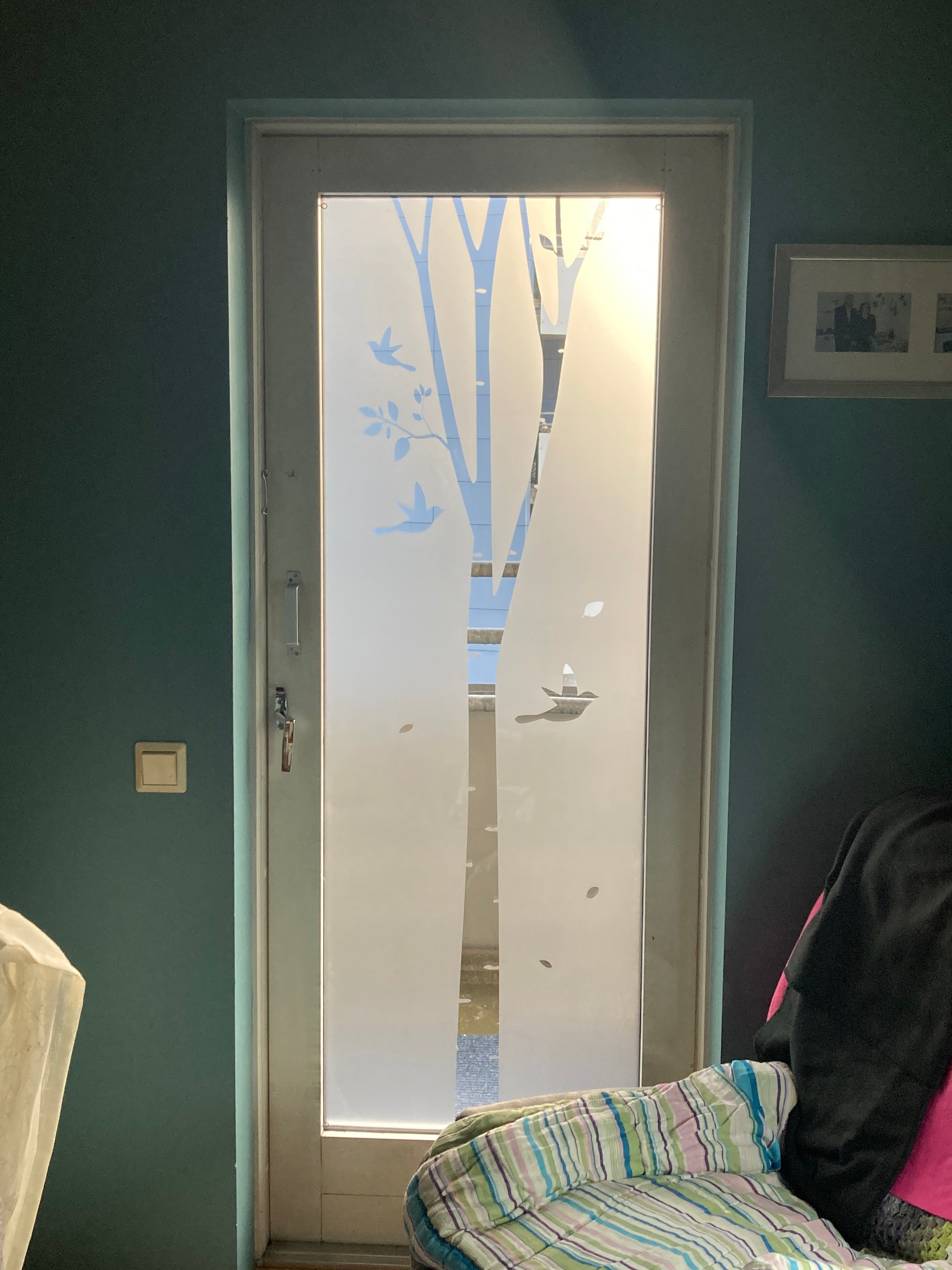 Frosted Window Film | Birch tree | S18