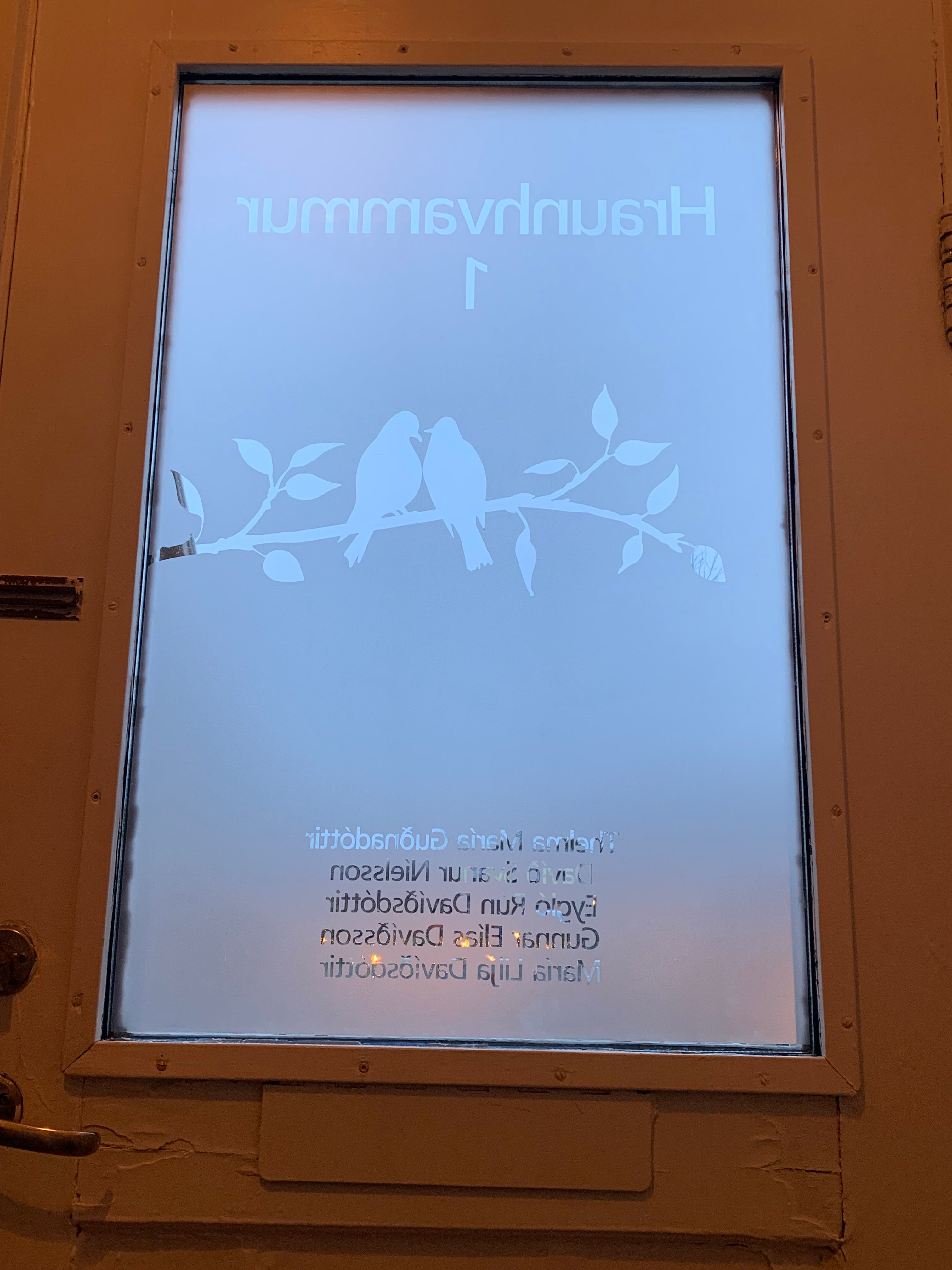 Frosted Window Film | Birds on a tree branch 4 | S22