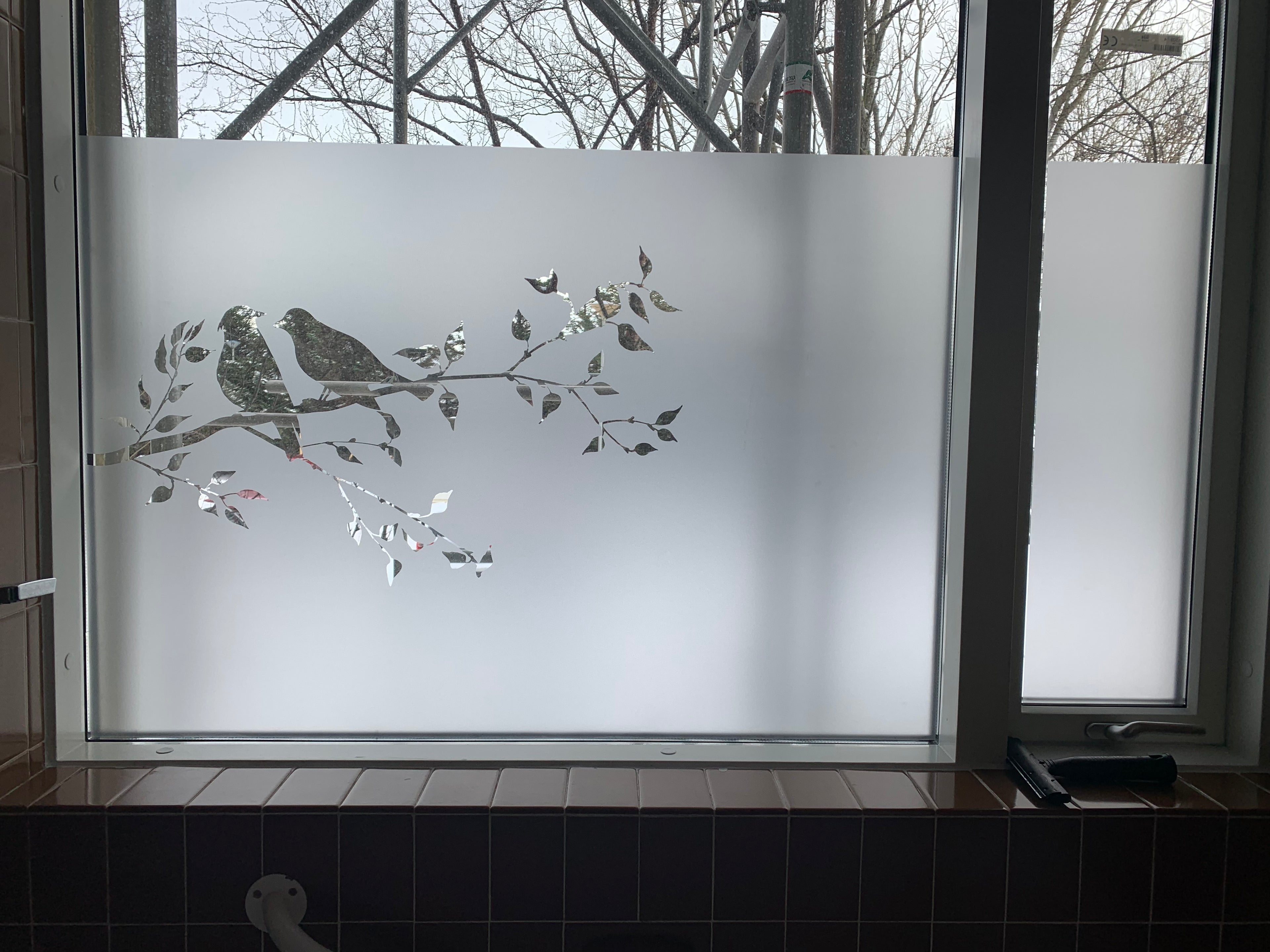 Frosted Window Film | Birds on a tree branch 3 | S21