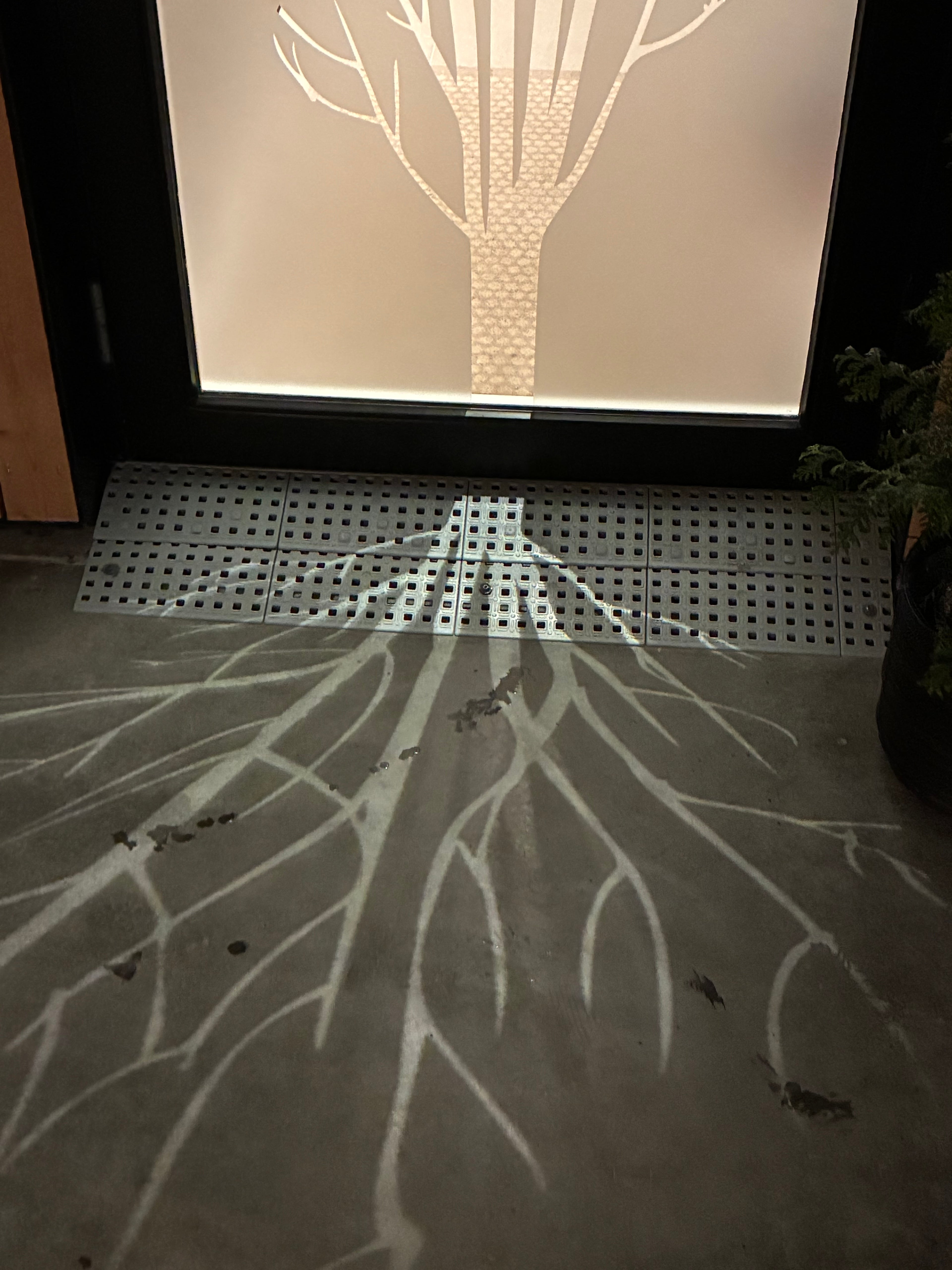 Frosted Window Film | Tree | S15