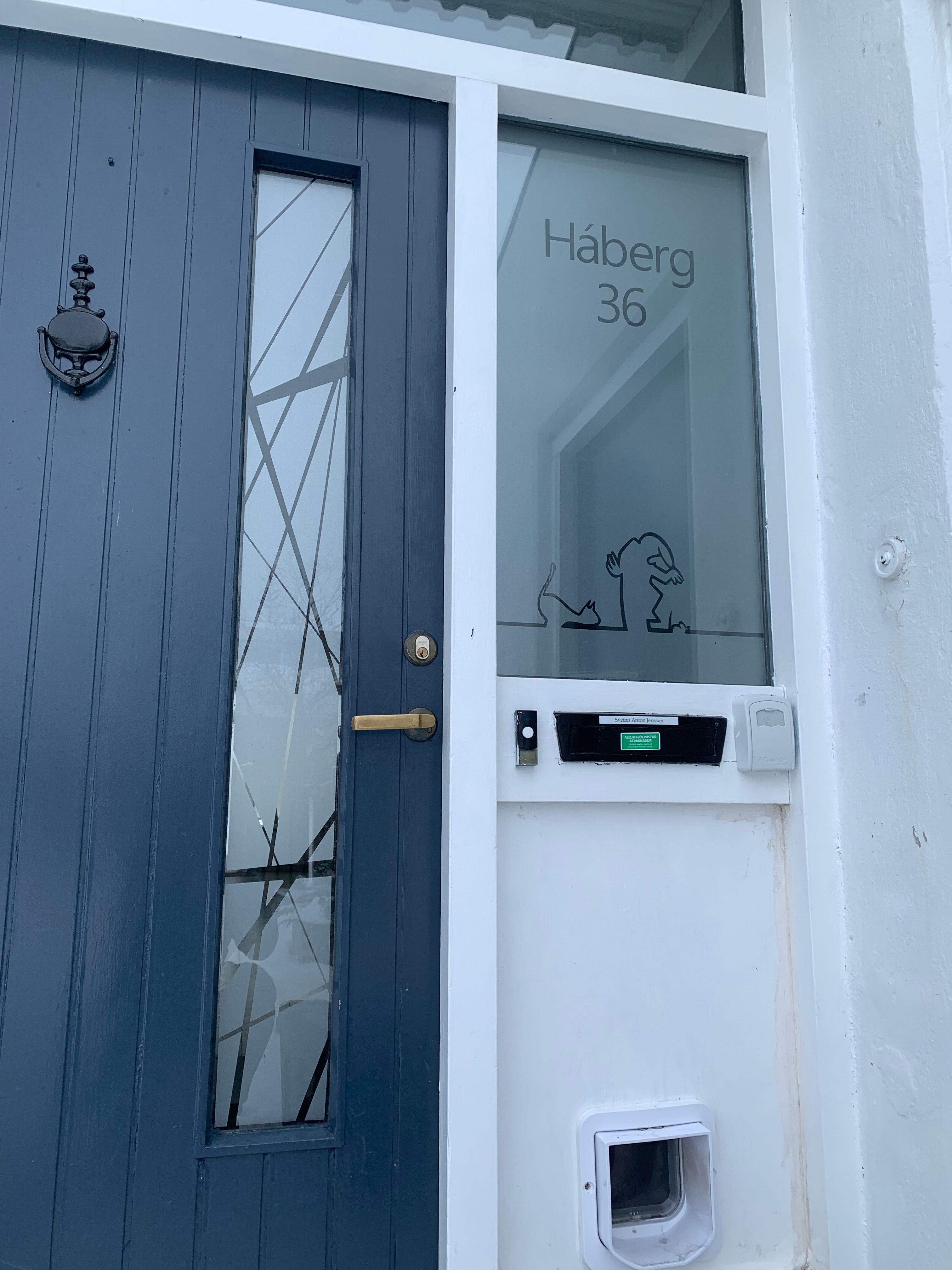 Frosted Window Film | abstract chaotic | S04