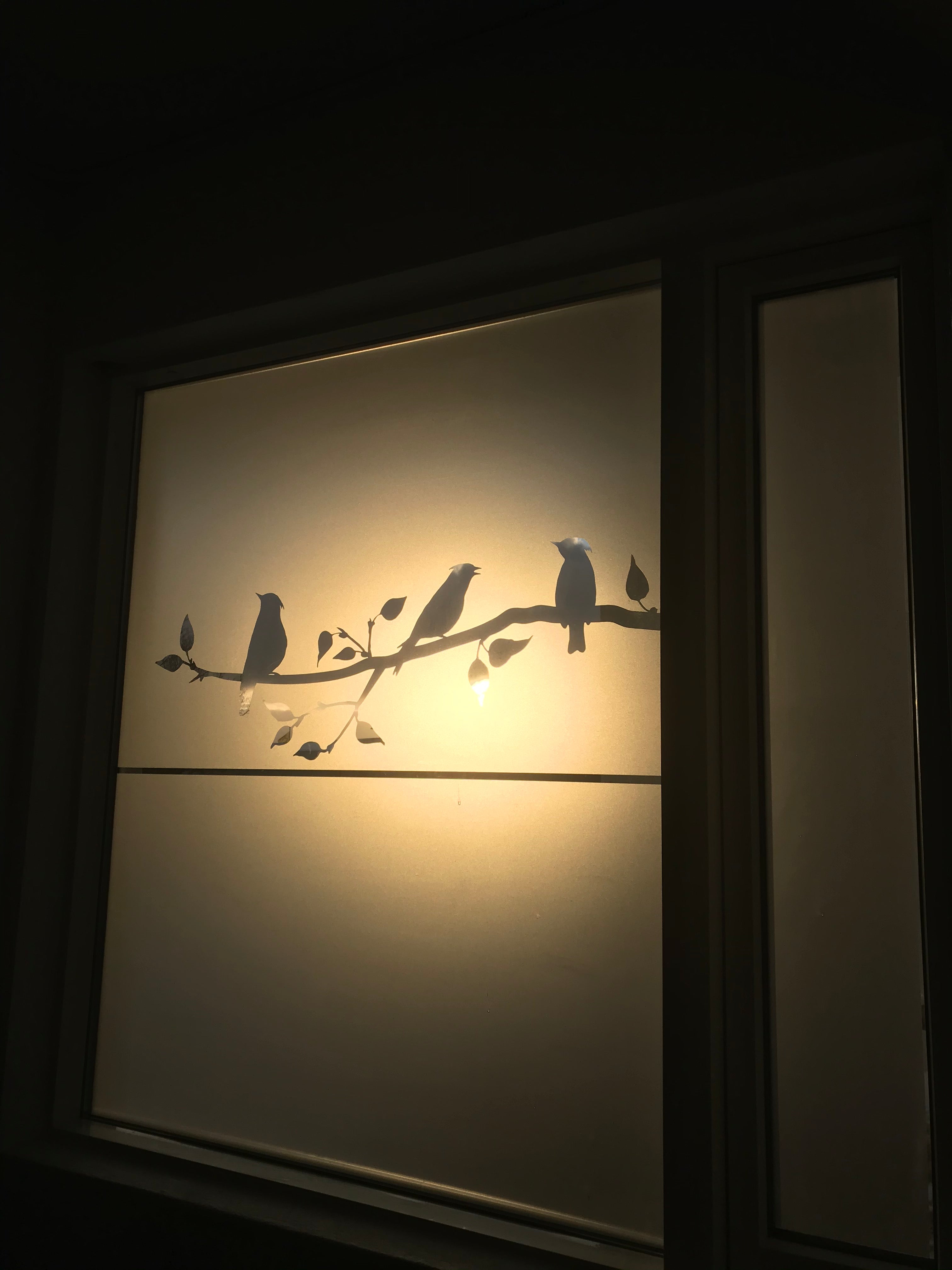 Frosted Window Film | Birds on a tree branch 2 | S20