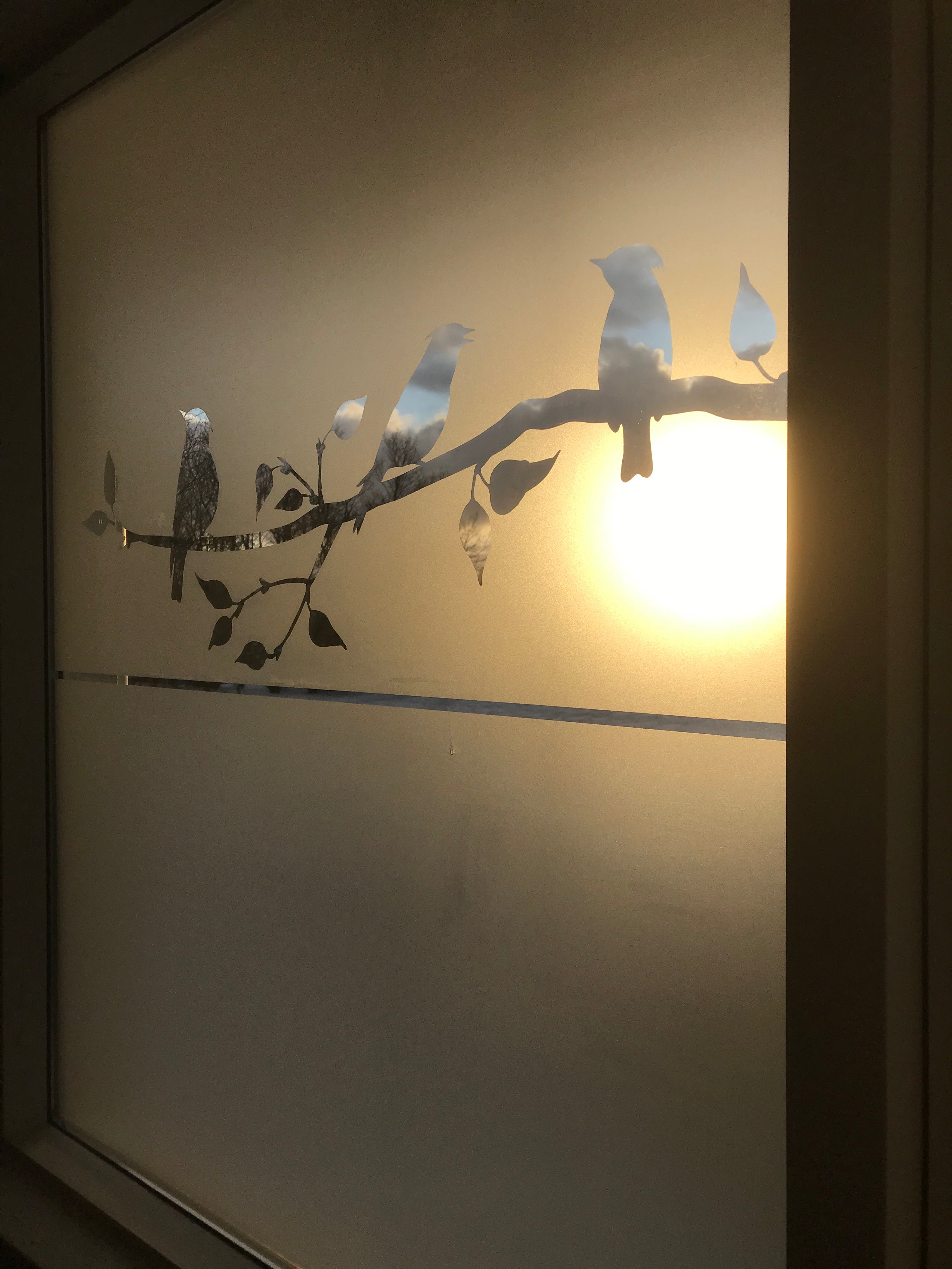 Frosted Window Film | Birds on a tree branch 2 | S20