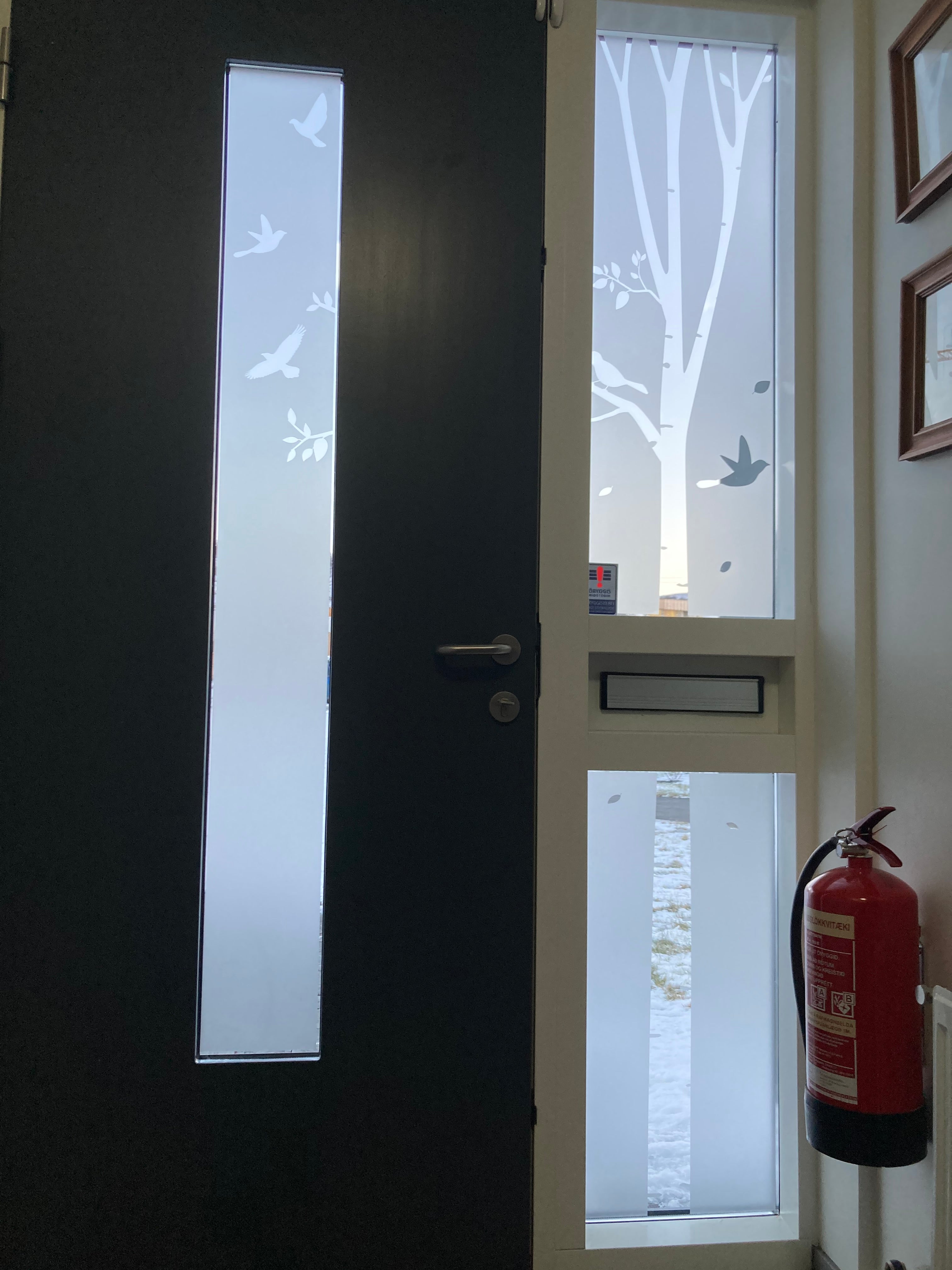 Frosted Window Film | Birch tree | S18