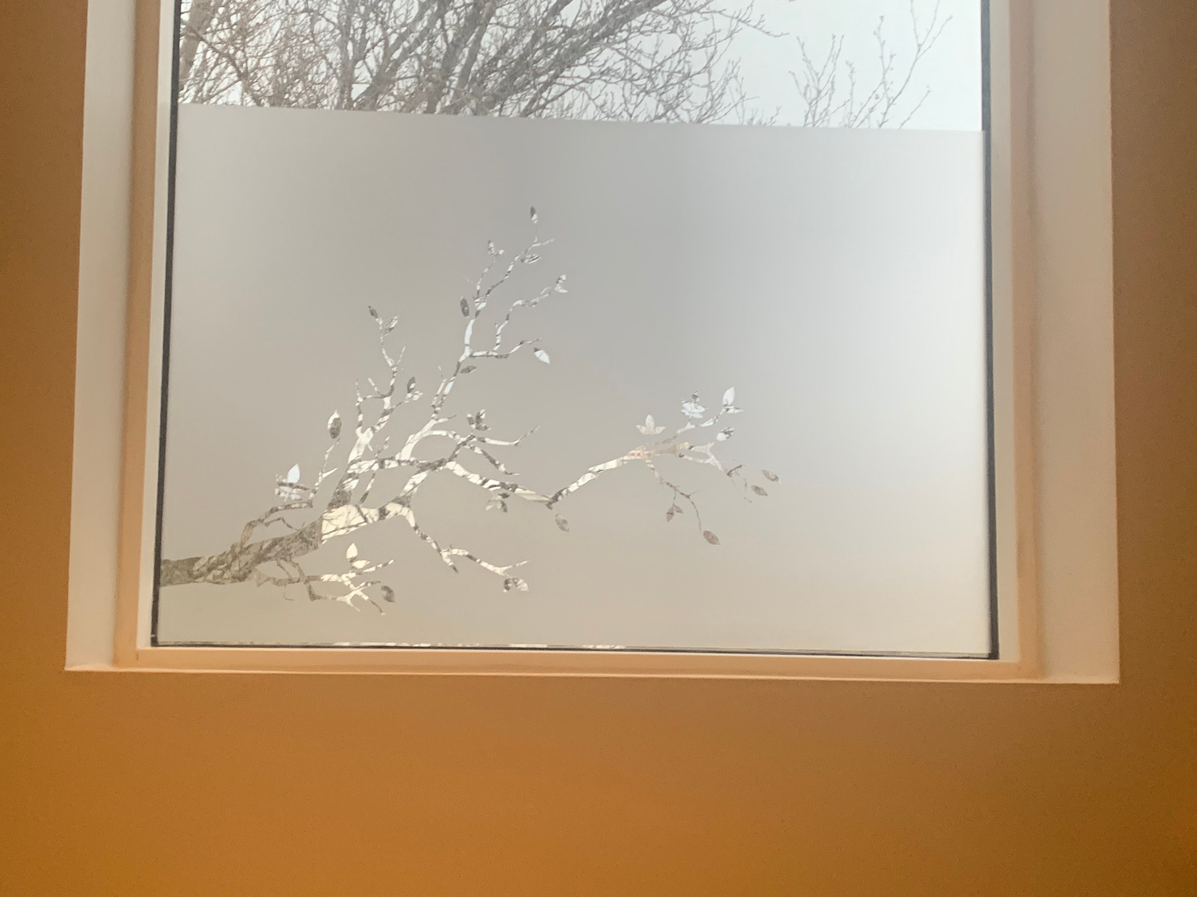 Frosted Window Film | Tree branch 2 | S14