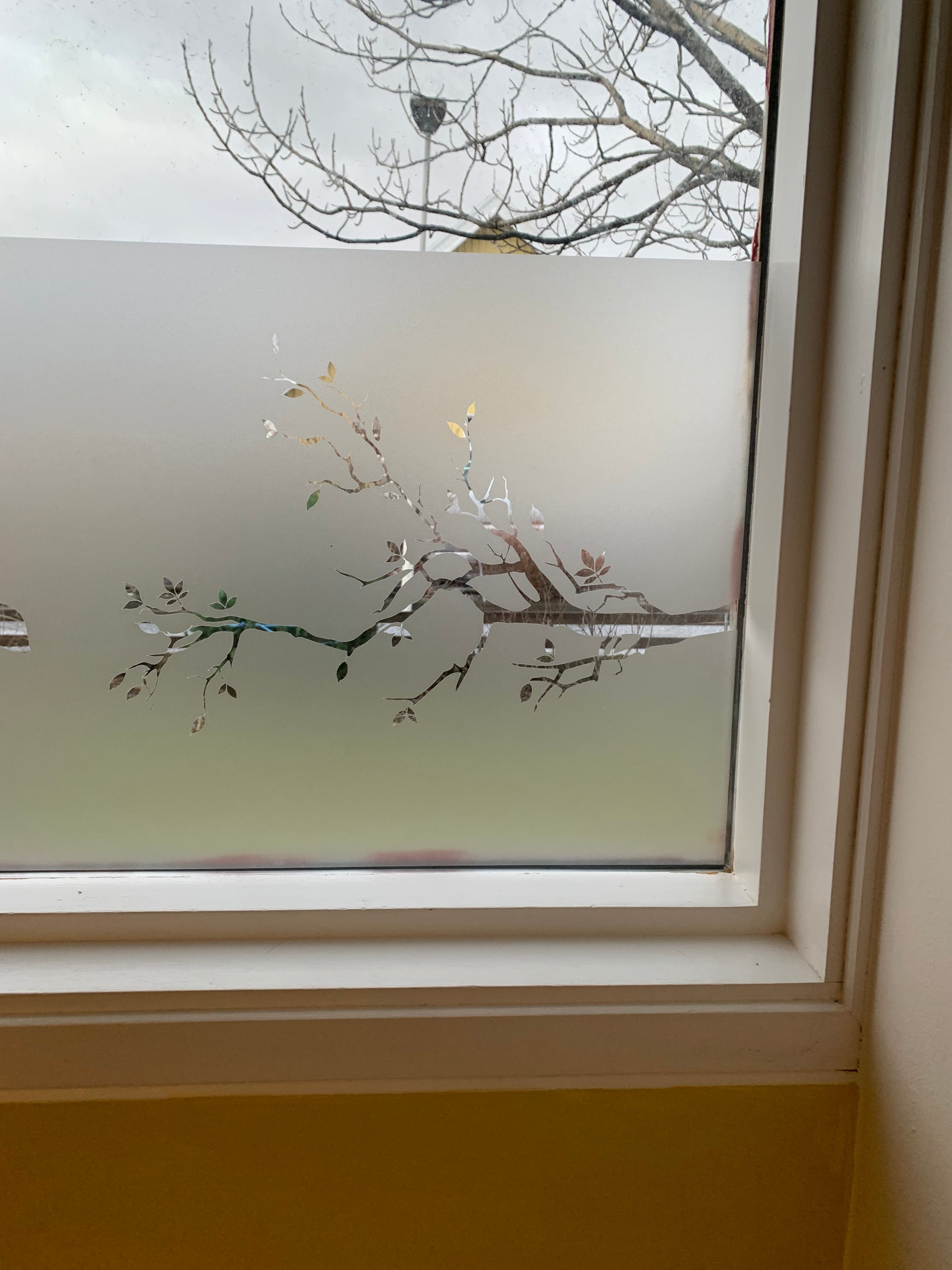 Frosted Window Film | Tree branch 2 | S14
