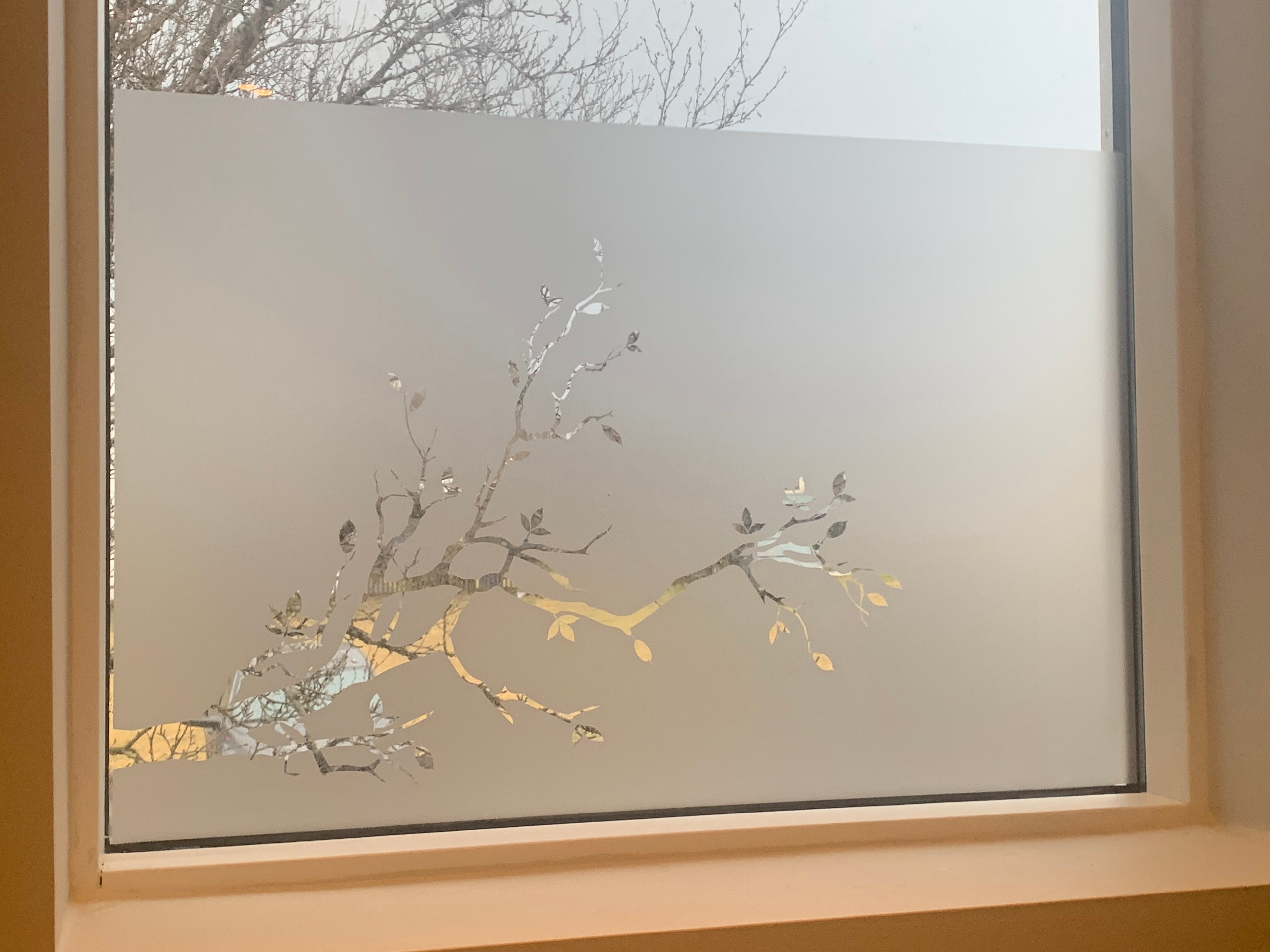 Frosted Window Film | Tree branch 2 | S14
